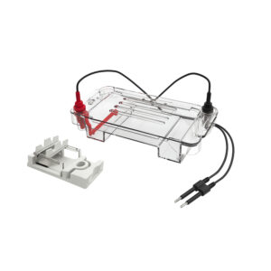 Tanque de electroforesis horizontal para ADN y ARN resultado