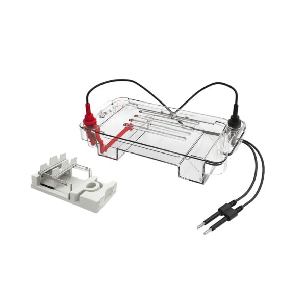 Tanque de electroforesis horizontal para ADN y ARN resultado
