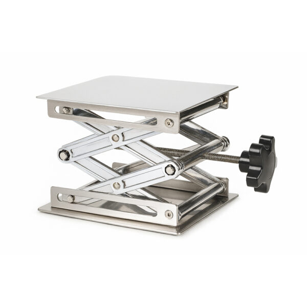 Gato de Laboratorio Jack